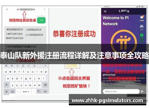 泰山队新外援注册流程详解及注意事项全攻略