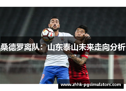 桑德罗离队：山东泰山未来走向分析