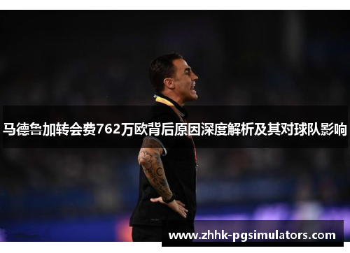 马德鲁加转会费762万欧背后原因深度解析及其对球队影响 马德鲁加转会费762万欧背后原因深度解析及其对球队影响