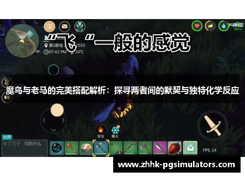 魔鸟与老马的完美搭配解析：探寻两者间的默契与独特化学反应