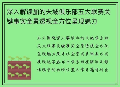 深入解读加的夫城俱乐部五大联赛关键事实全景透视全方位呈现魅力